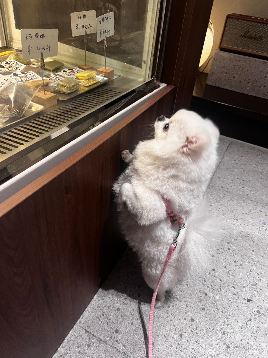 Marlene Sanchez tweet media