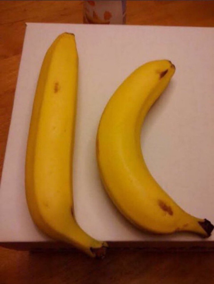 Julia Alvees tweet media