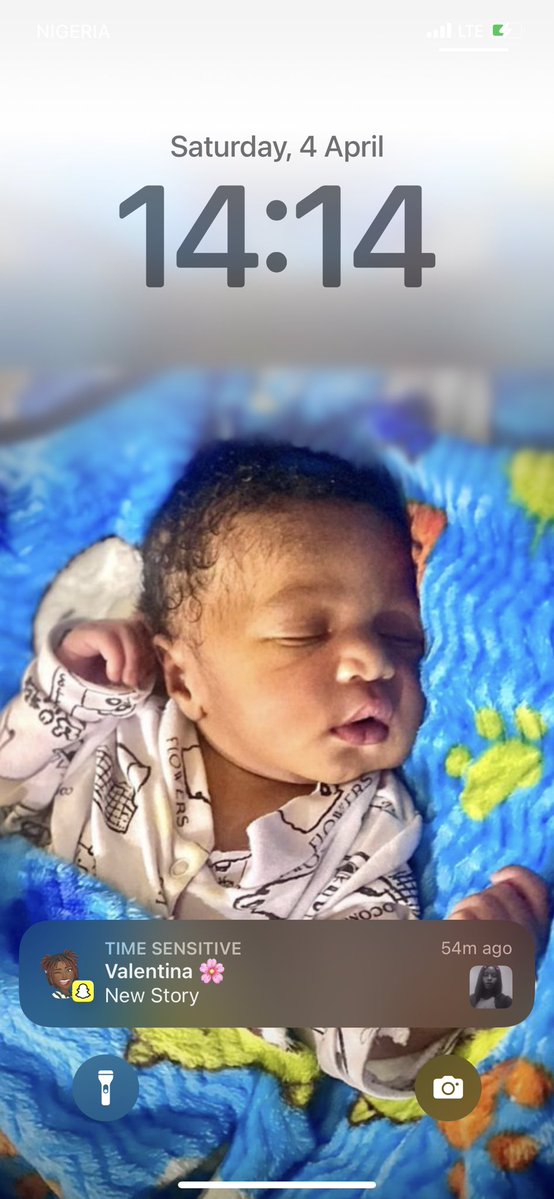 Baba Rex tweet media