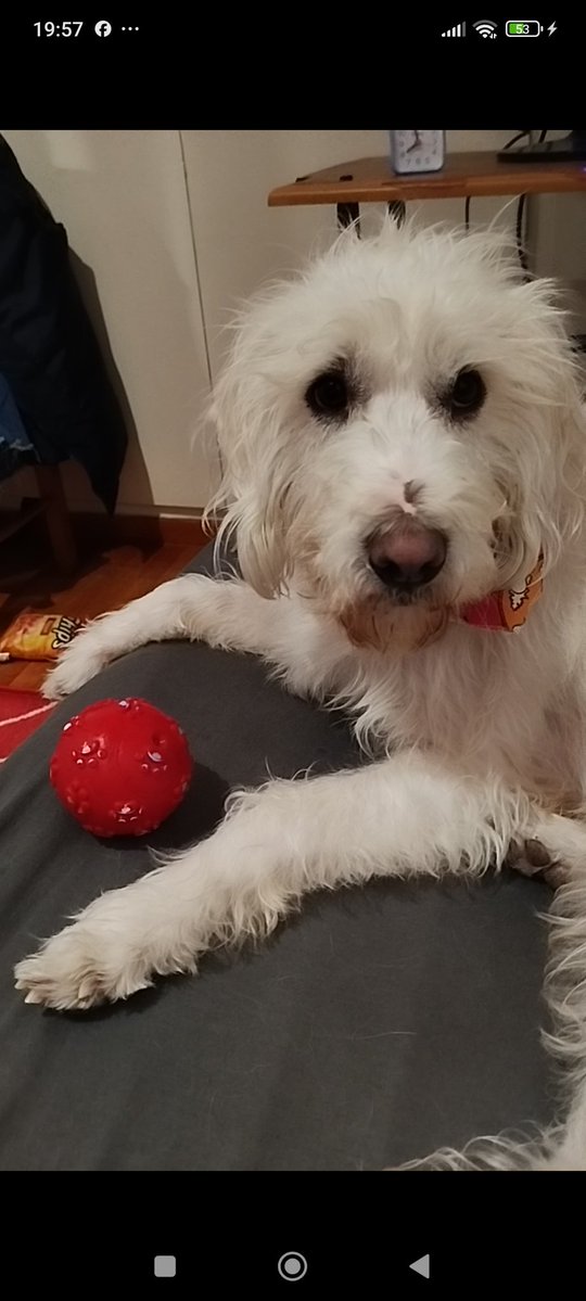 Maria Pit. tweet media