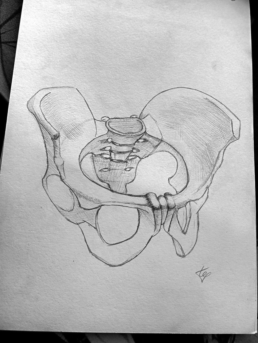 DargoLifeBuild's tweet photo. I was asked to draw a pelvis for anatomy class
#art #traditional_art #drawing #sketch #artwork #pensil_art #art_study #anatomy #anatomystudy #bone https://t.co/CZloT1xGmo
