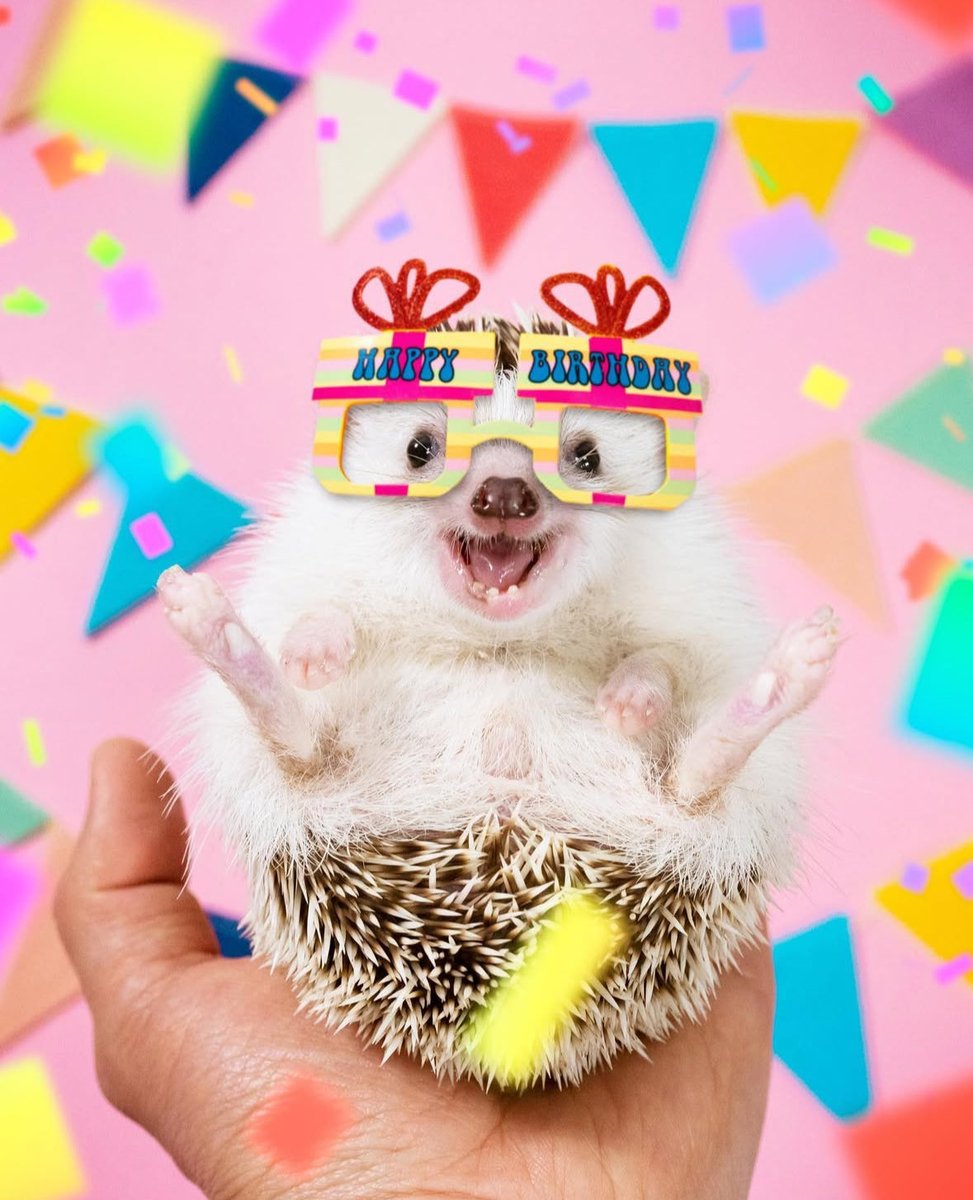 Hans Hedgehog tweet media