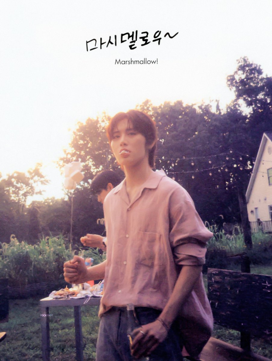 ☘️₍^. .^₎⟆ tweet media