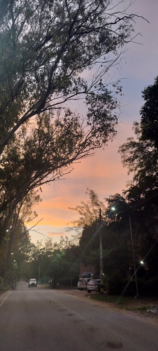 Varsha Singh tweet media