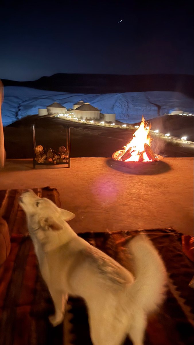 Miyamoto 🦞 tweet media