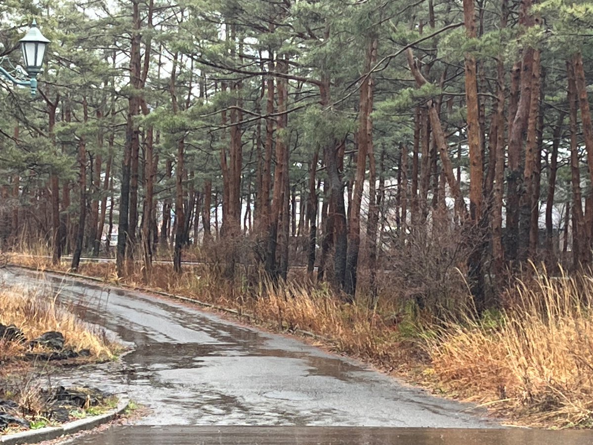 こるの tweet media