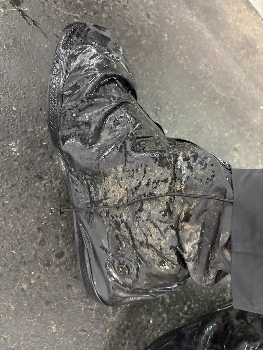 🈂さきいか tweet media