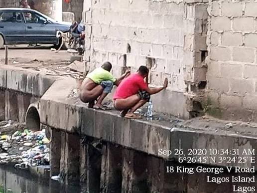 EyeAmTree tweet media