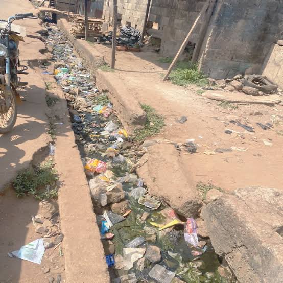 EyeAmTree tweet media