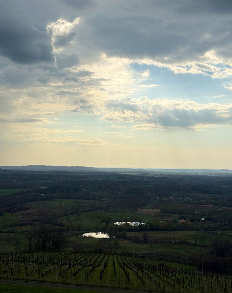 Sweet Sav tweet media