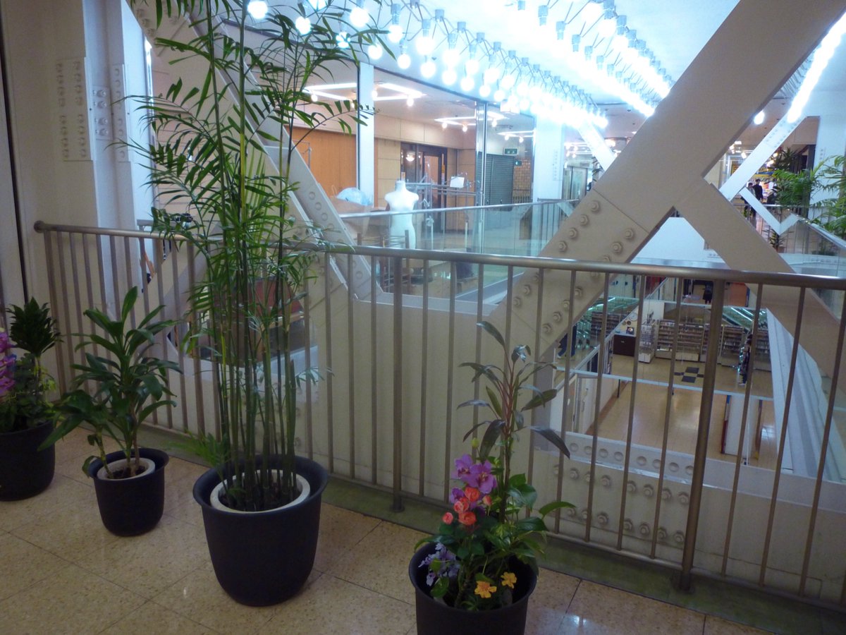 nagi𓅫⸒⸒ tweet media