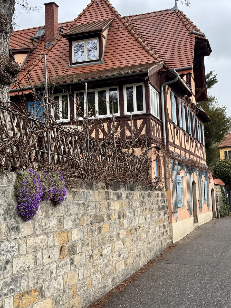 Bananenflanke tweet media