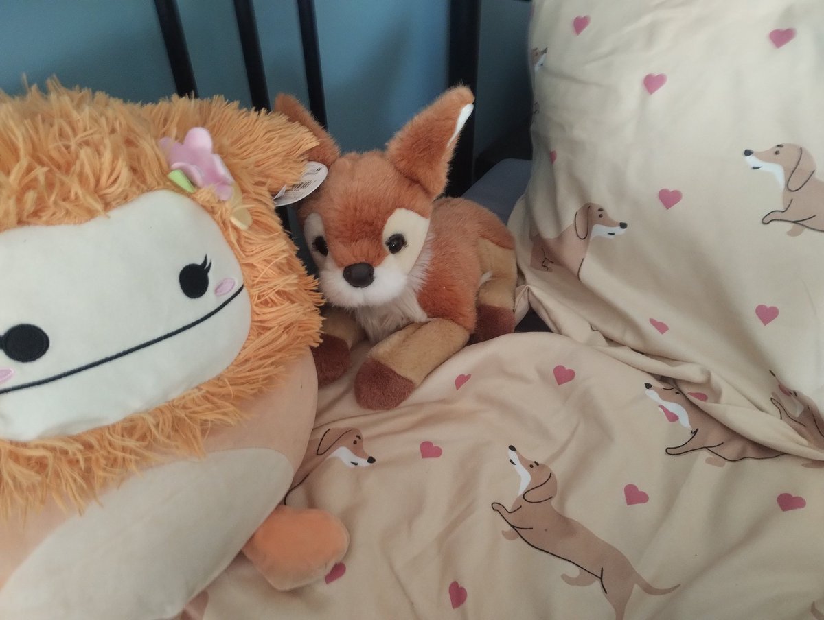 mirus 👾 tweet media