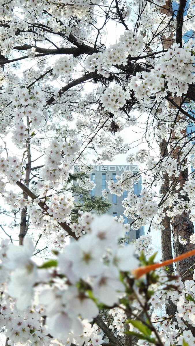 G1 / JIWON CHOI / 최지원 tweet media