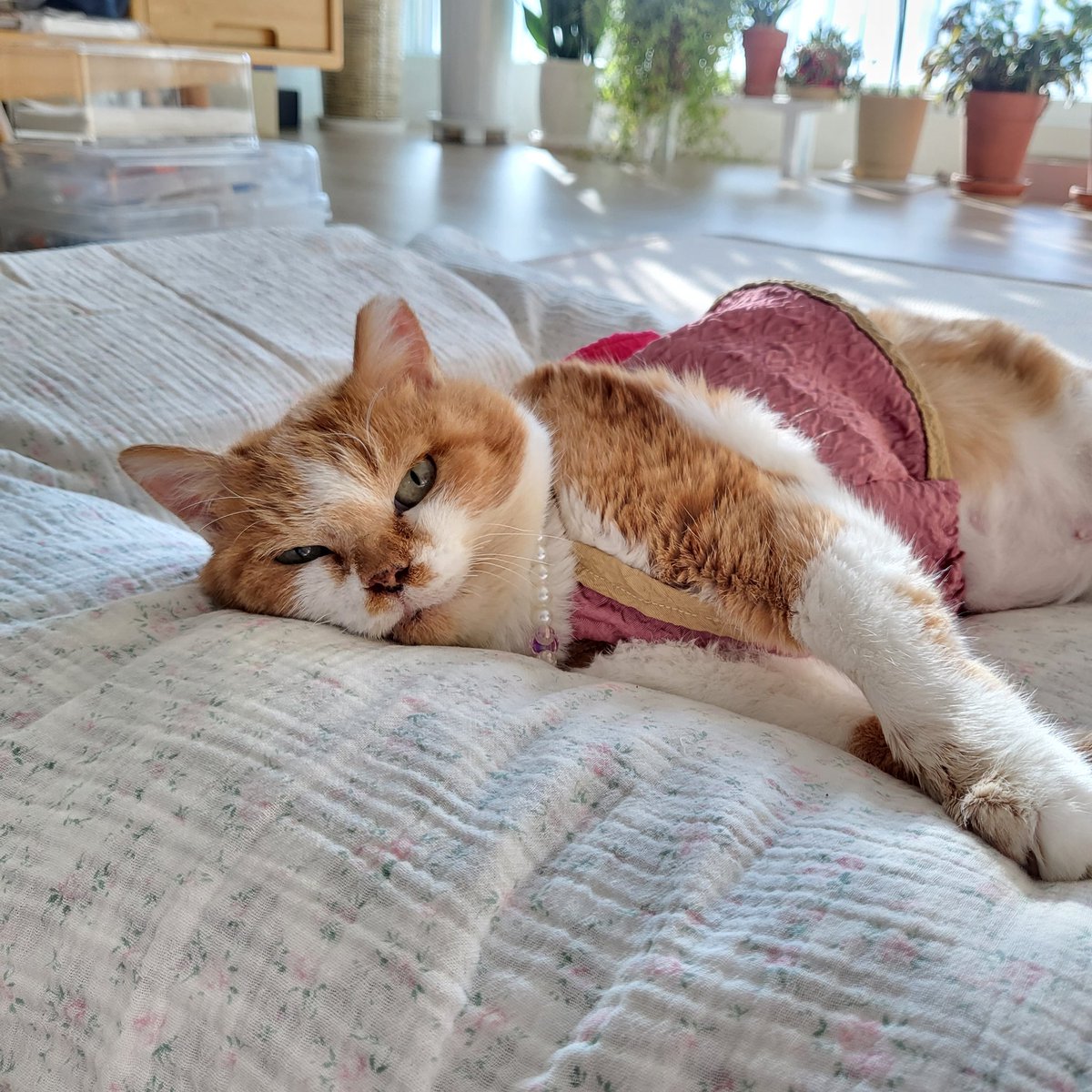 G1 / JIWON CHOI / 최지원 tweet media