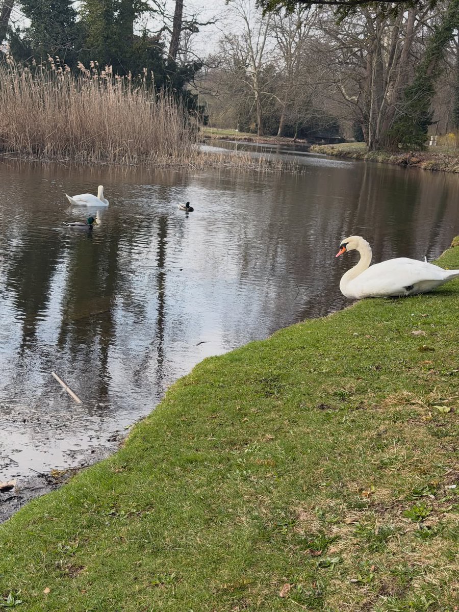 𝗏𝖾𝗅𝗈𝗎𝗋𝖺 tweet media