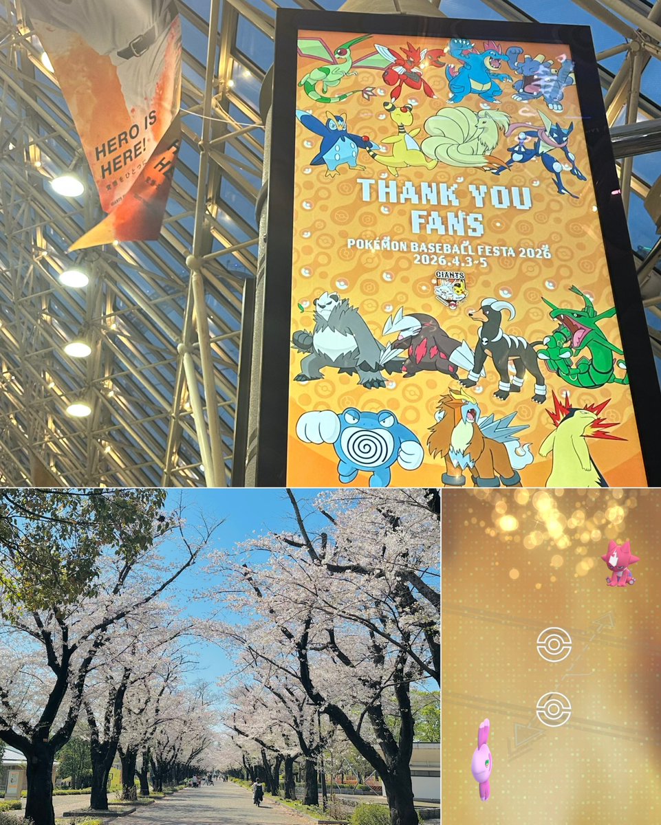 ちゃき tweet media