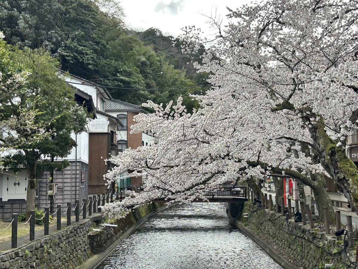 Tomizo0615's tweet photo. レッドウィング9060フラットボックス育成日記
城崎温泉に桜を見に行ってきたよ
130回
602時間
#レッドウィング9060
#ベックマンフラットボックス
#tcbジーンズ https://t.co/hye3N6uHSf