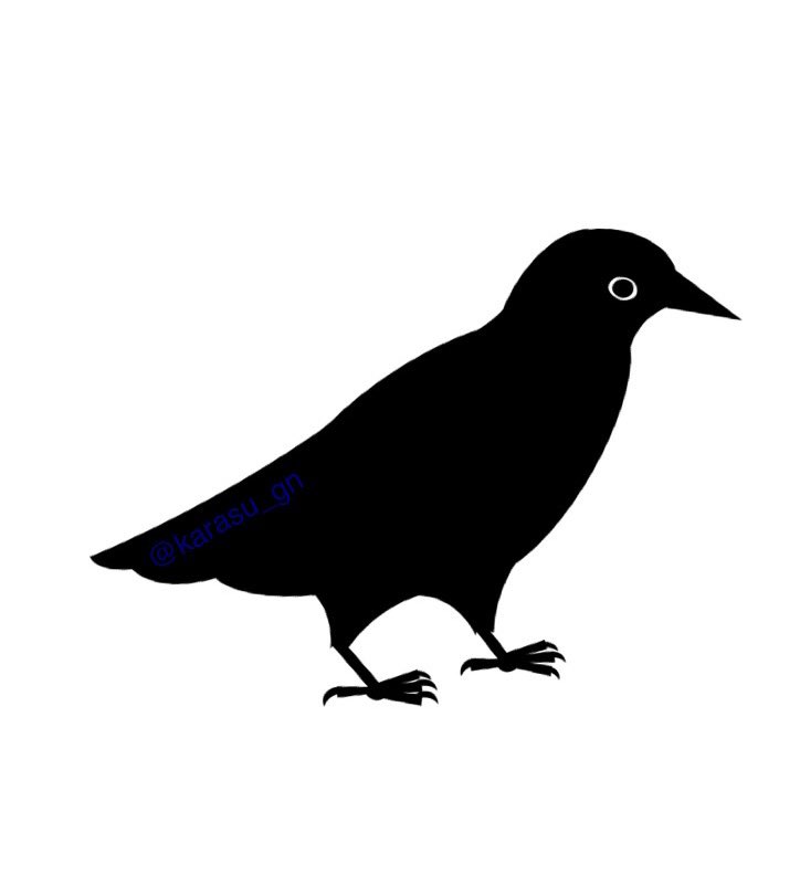 からす tweet media