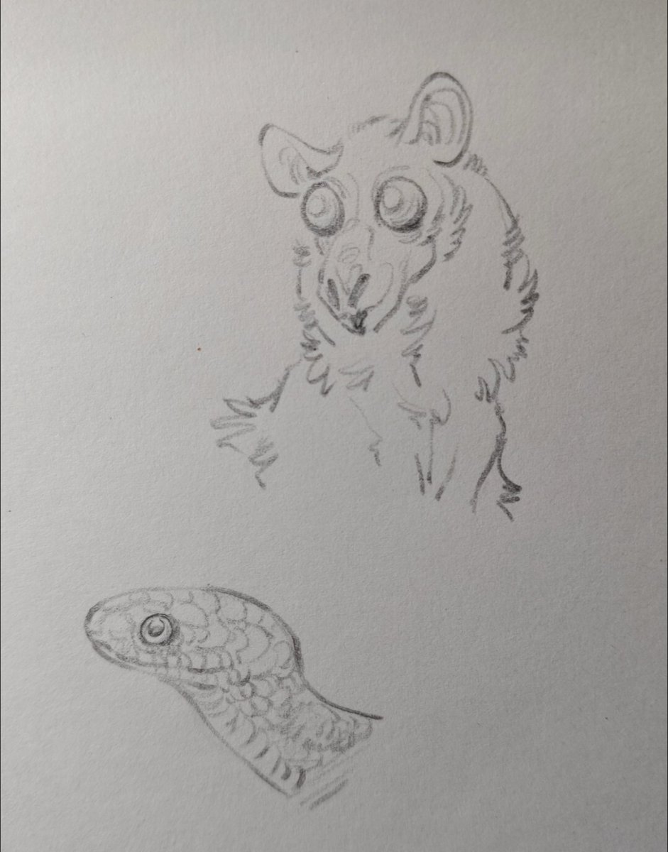 awwwwwwwwwwww tweet media