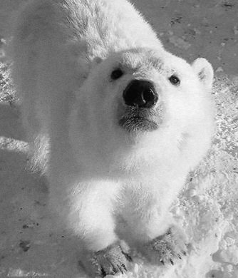 뭉.ᐟ.ᐟ tweet media