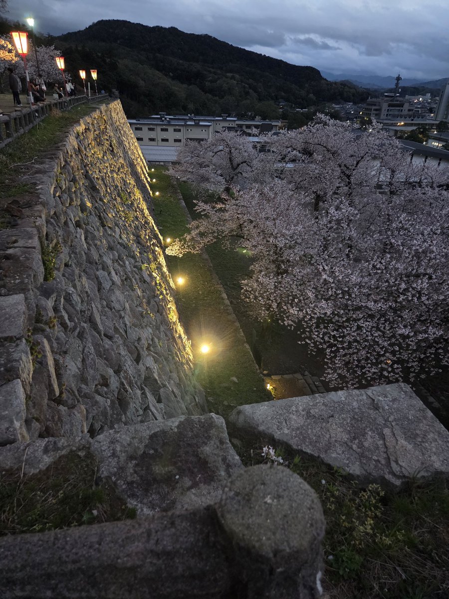 02Singo17ya's tweet photo. 鳥取城🏯夜桜綺麗だった～😆 https://t.co/NFwoKhajvh