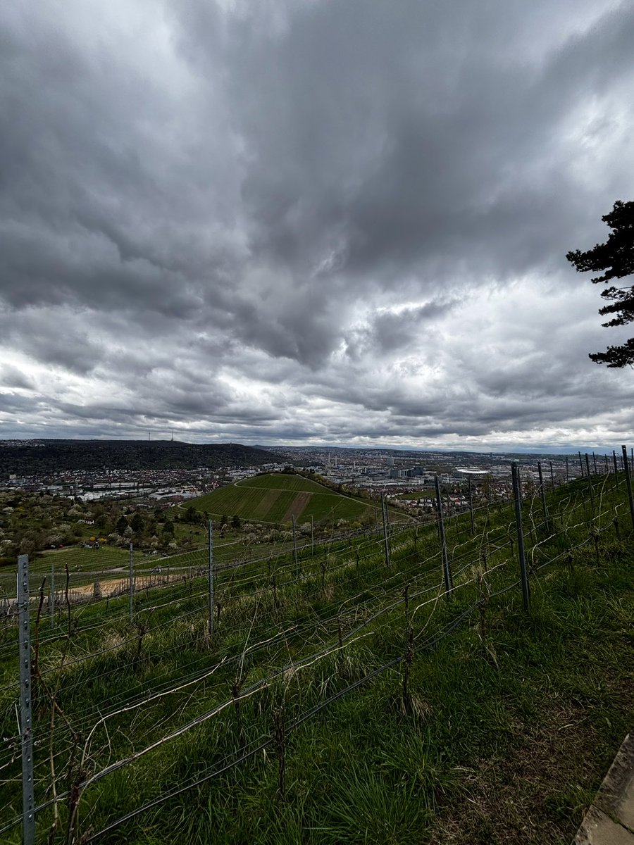 Wortgedoens tweet media