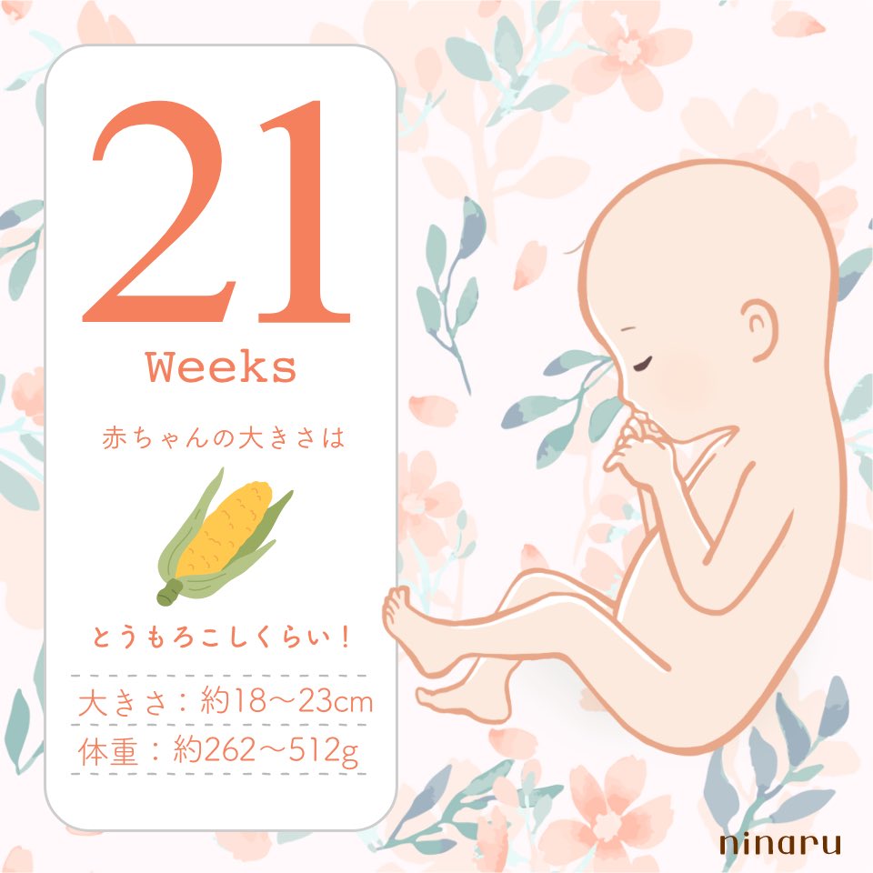 ぺちꕤ︎︎初マタDDtwin21w tweet media