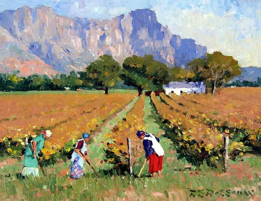 Cape International tweet media