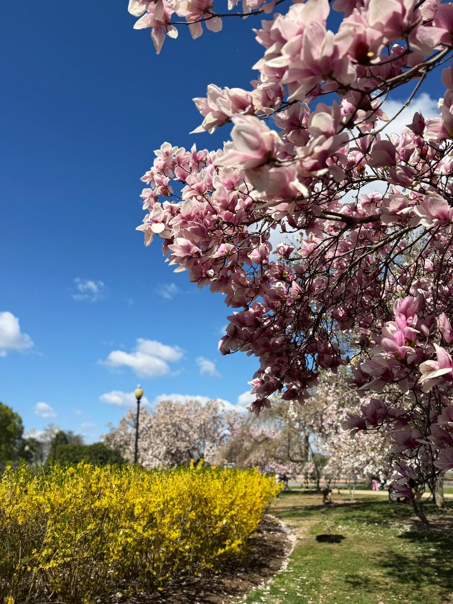 suziday123's tweet image. Saturday Friendly Reminder… Relax, refresh, recharge. 🙌🍃🌸 #SelfCareSaturday #WeekendToDo #SaturdayThoughts #EnjoyLife