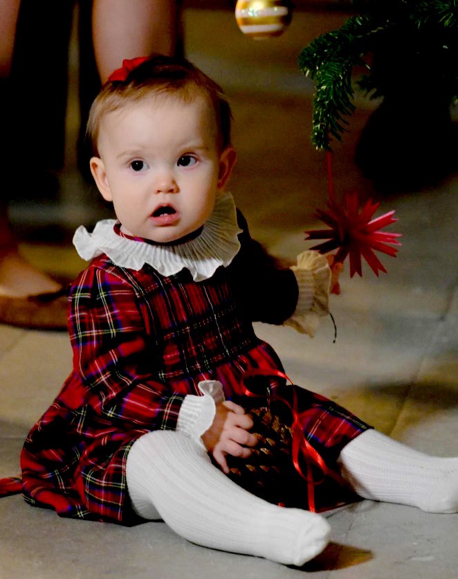 royalchildren_'s tweet photo. Princess Ines of Sweden receives the Christmas Trees from The Swedish University of Agricultural Sciences Umeå, at The Royal Palace in Stockholm, Sweden 🎄 -December 15th 2025.
.
📷 : Dana Press & Patrick Osterberg/Stella Pictures/ABACAPRESS.COM.
.
#PrincessInes #Sweden https://t.co/I869fuSSqO