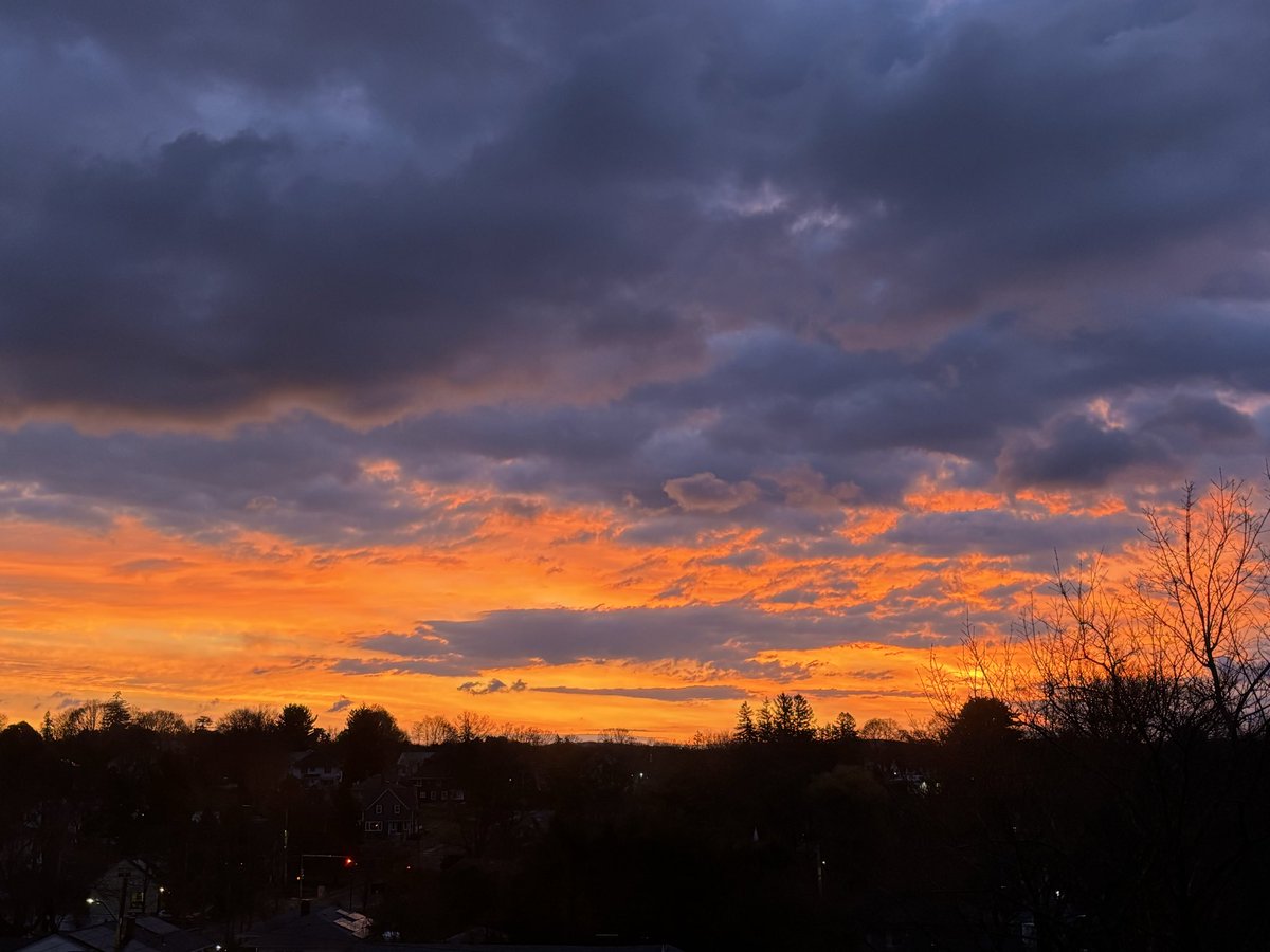 Roythepoisonpill 🇺🇸⚖️ tweet media