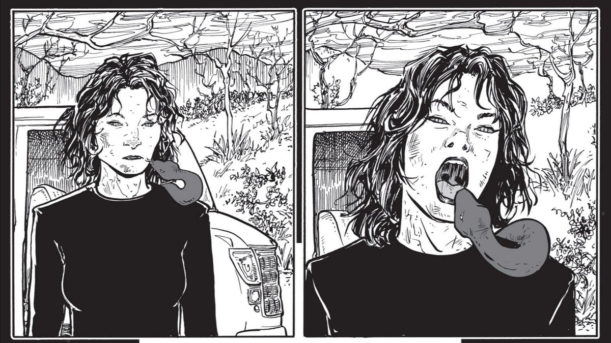 Fer 🦇🔨 tweet media