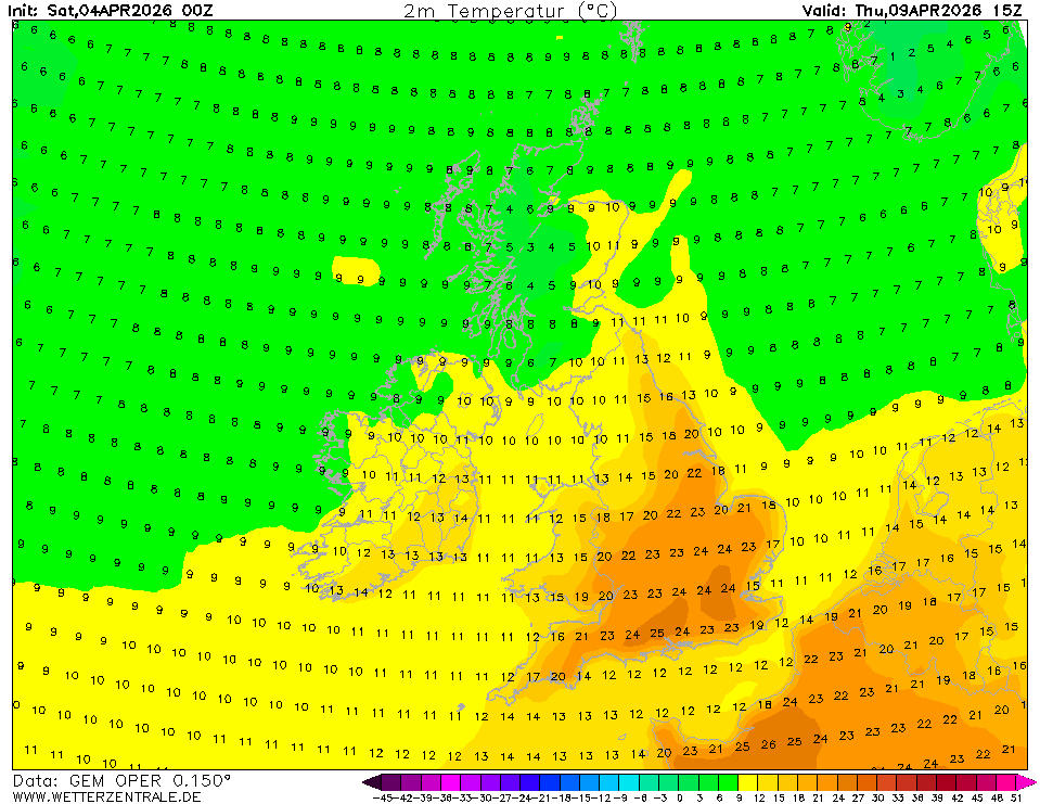 Surrey Palms & Exotics tweet media