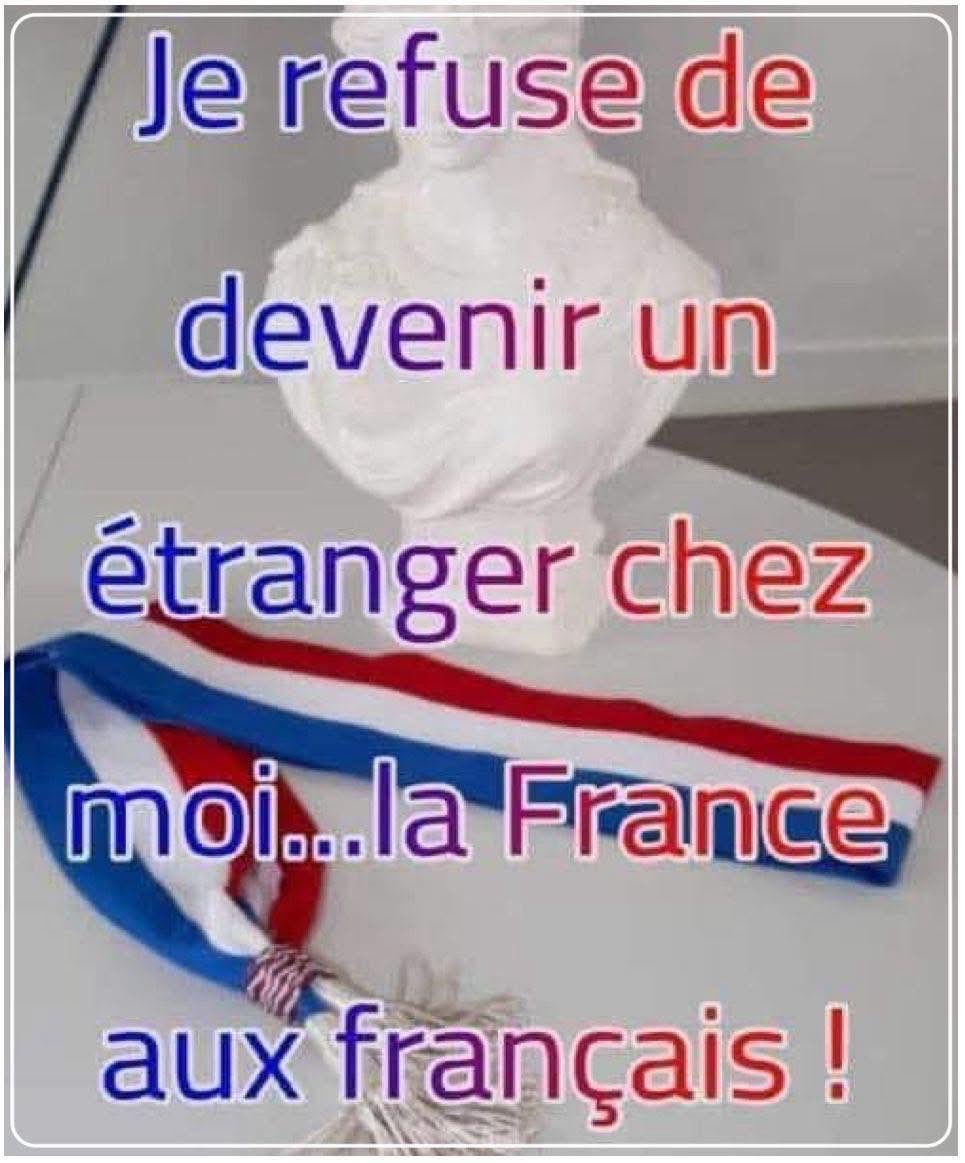 Patrick Jardin tweet media