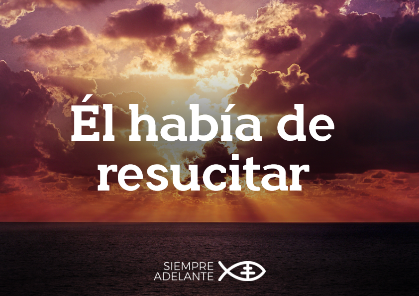 Archidiócesis de Sevilla tweet media