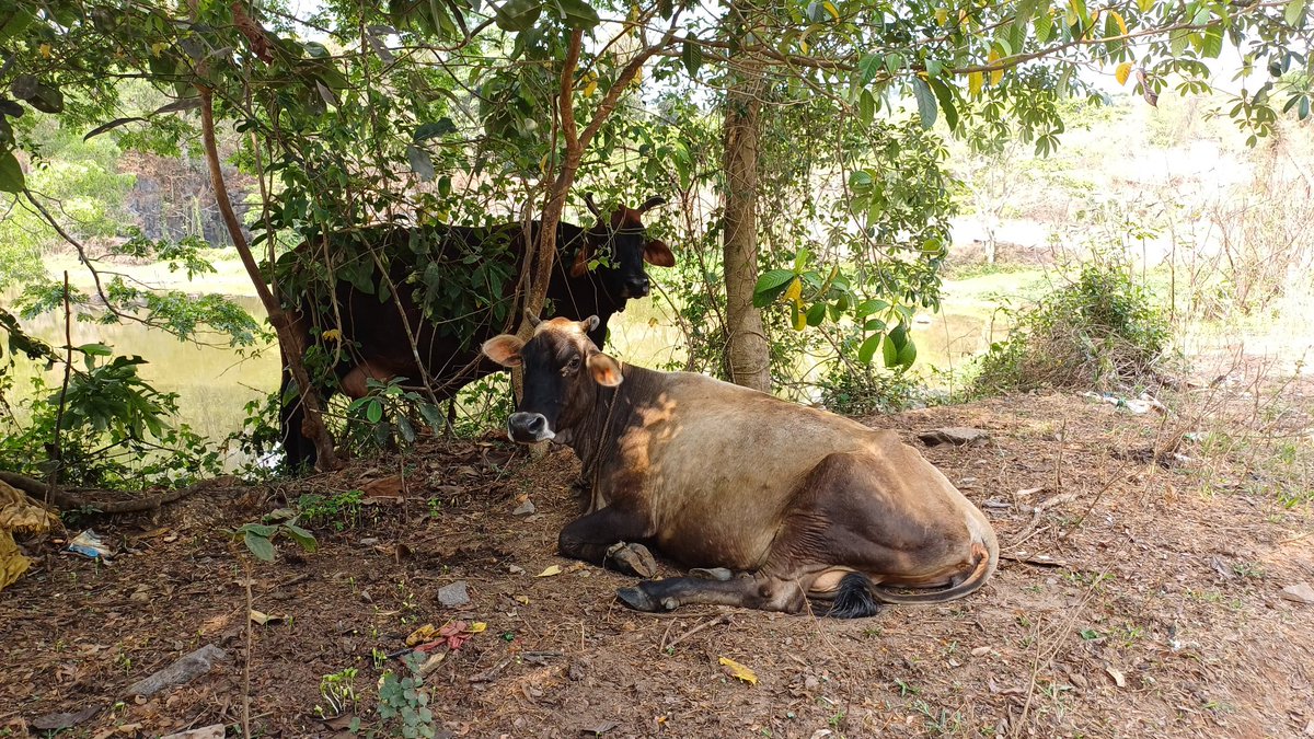 Maclean Antony Santos tweet media