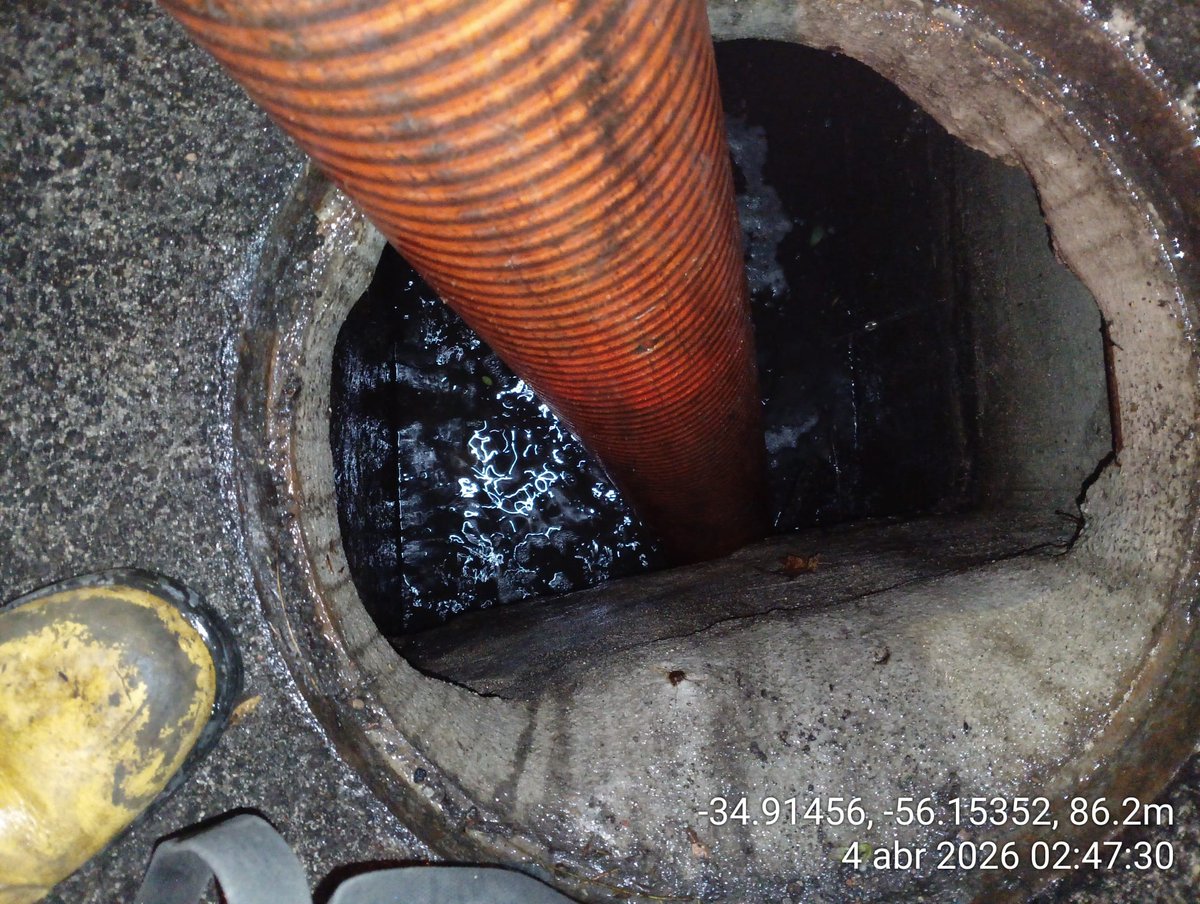 Diego Olivera Couto tweet media