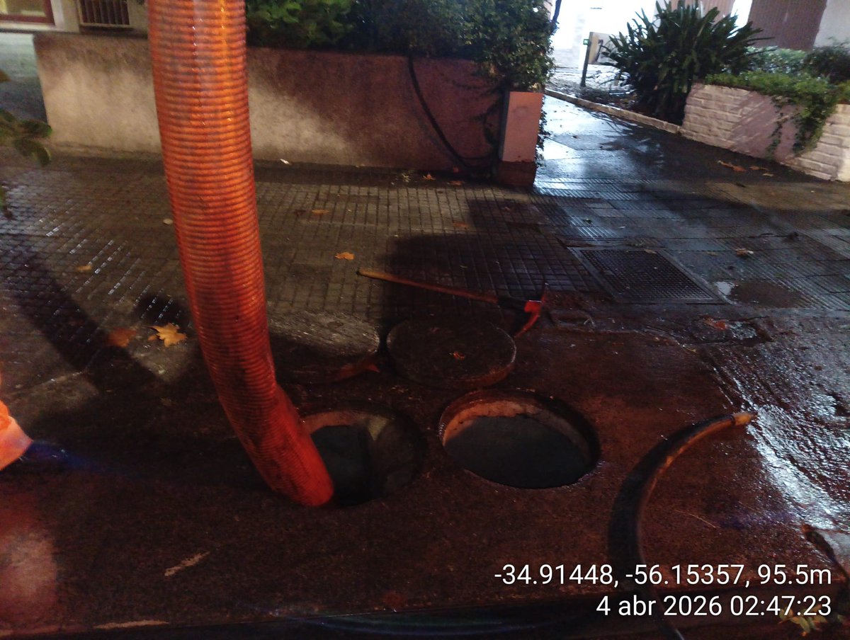 Diego Olivera Couto tweet media