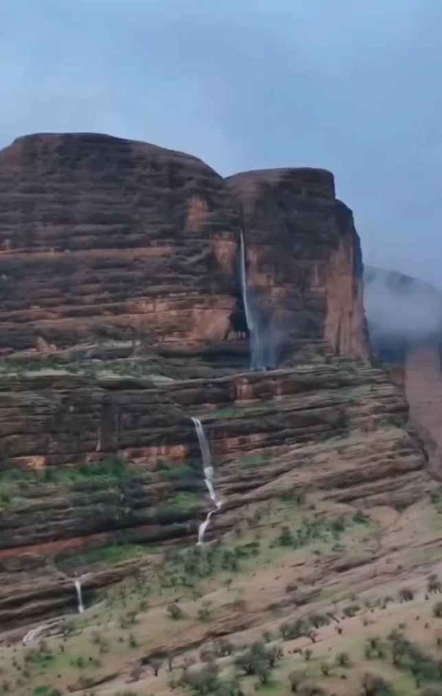 Stay Human tweet media