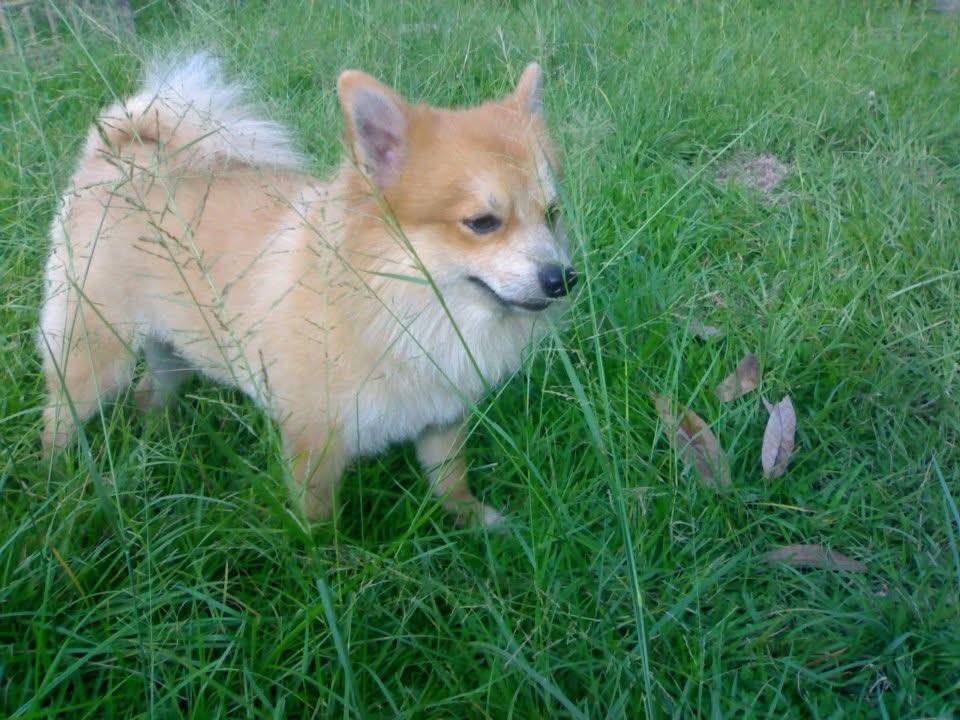 𝐎𝐧𝐞𝐌𝐨𝐫𝐞𝐓𝐫𝐲 tweet media