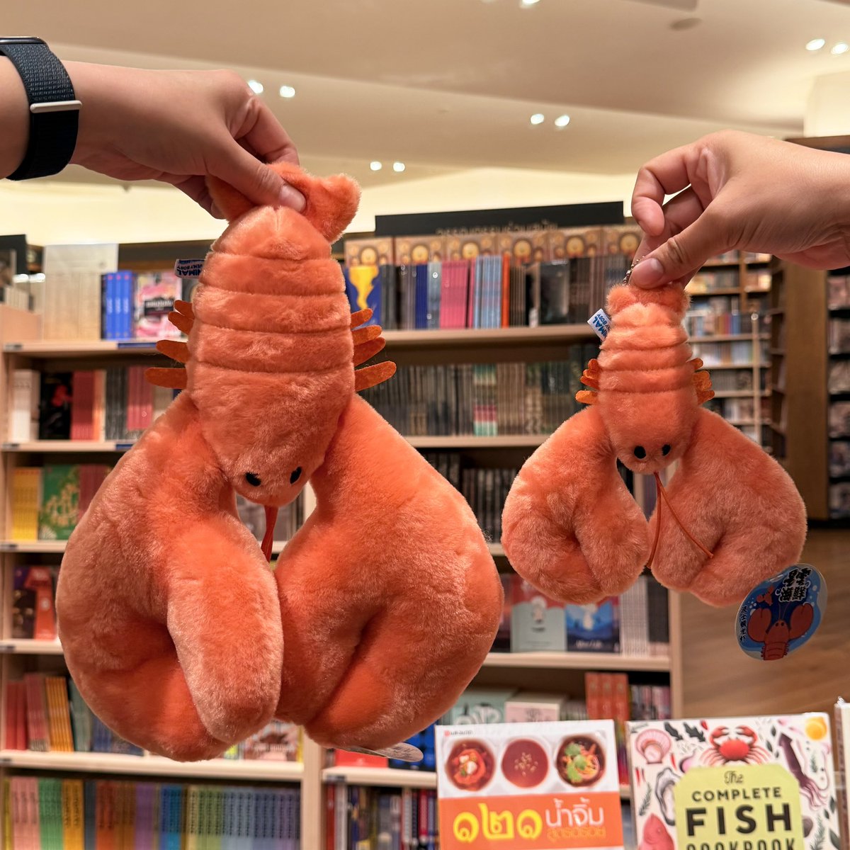 kinowhatsnewTH tweet media