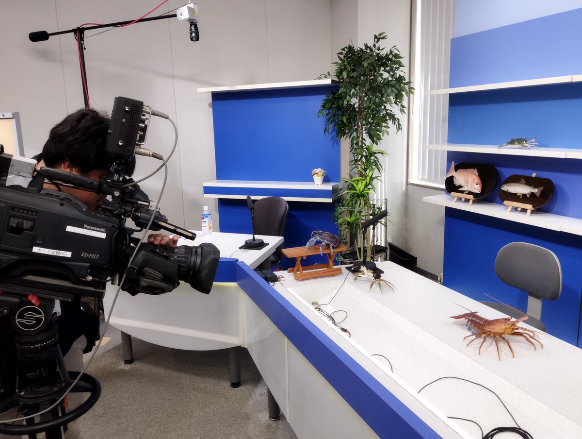 魚道部!/ 剥製師 力石眞弘 (チカライシ マサヒロ) tweet media