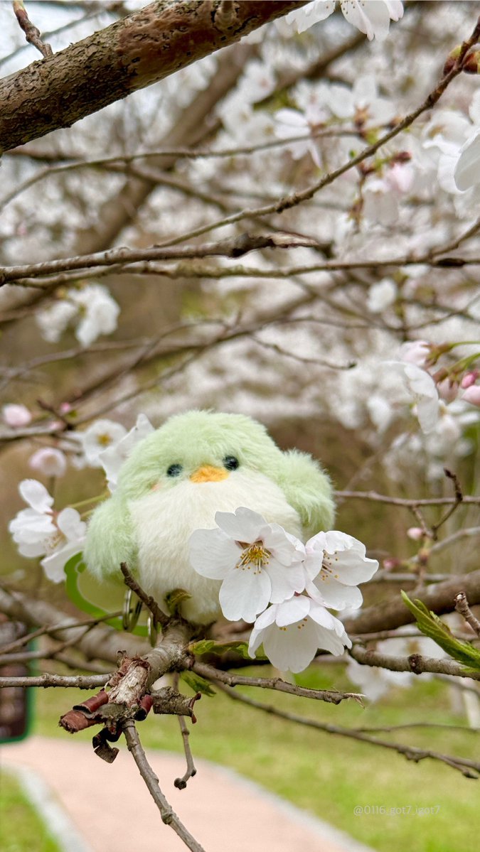 여우🦊 tweet media