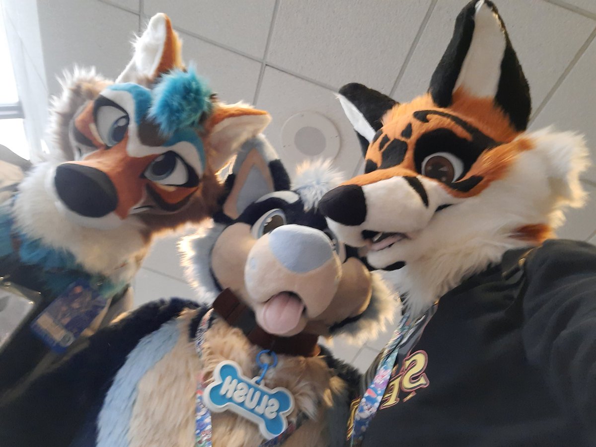 Shenanigans tweet media