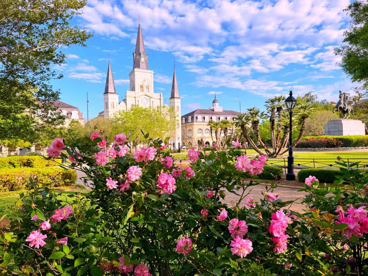 DavidMora's tweet image. Wishing everyone a wonderful and blessed Easter weekend! 🌞🌿💐✝️🌸🌳⛪️

#EasterWeekend #NewOrleans