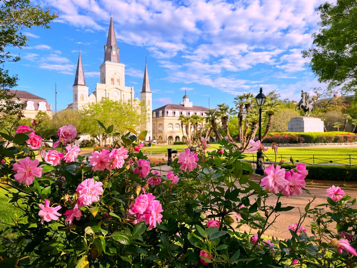 DavidMora's tweet image. Wishing everyone a wonderful and blessed Easter weekend! 🌞🌿💐✝️🌸🌳⛪️

#EasterWeekend #NewOrleans