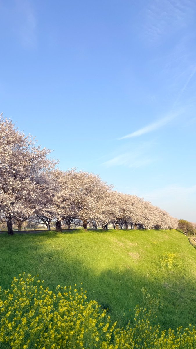 片山愛海 tweet media