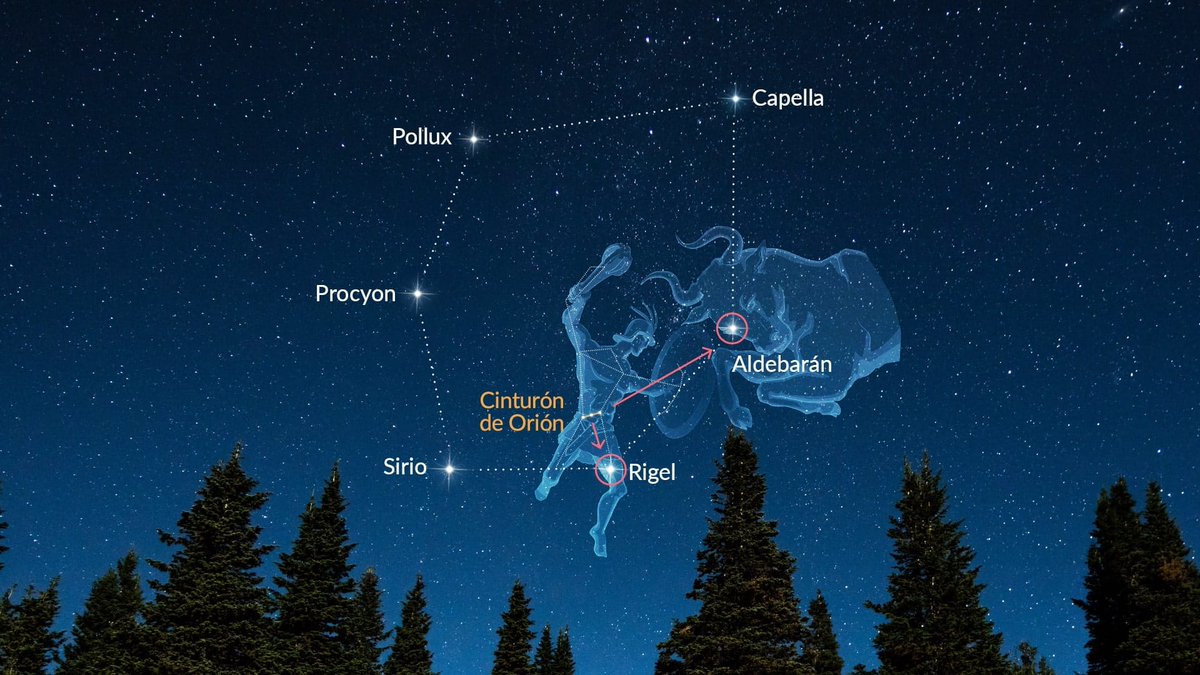 Helvético tweet media