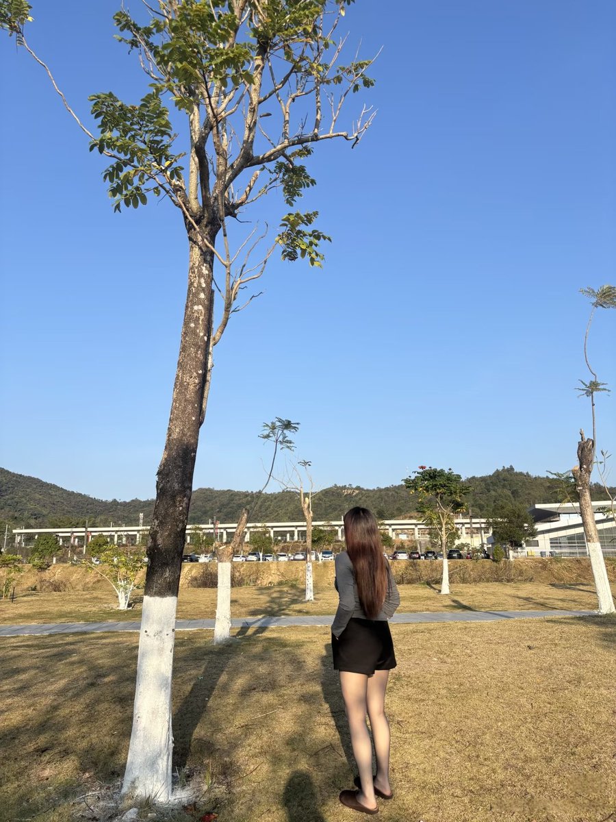 南京小董 tweet media